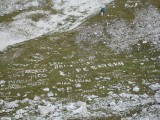Thumbs/tn_IMG_2255.jpg