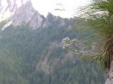 Thumbs/tn_P1110428.jpg
