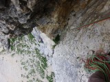 Thumbs/tn_DSCI1376.jpg