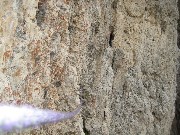 Thumbs/tn_IMG_9057.jpg