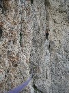 Thumbs/tn_IMG_9058.jpg