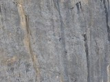 Thumbs/tn_P1110138.jpg