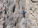 Thumbs/tn_P1110153.jpg