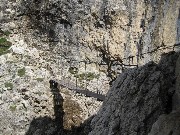 Thumbs/tn_IMG_1109.jpg
