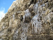 Thumbs/tn_IMG_1140.jpg