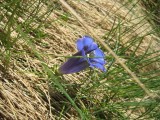 Thumbs/tn_IMG_3080.jpg