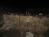 Thumbs/tn_IMG_3845.jpg