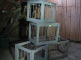Thumbs/tn_IMG_4482.jpg