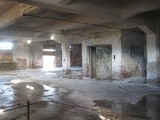 Thumbs/tn_IMG_5534.jpg
