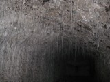 Thumbs/tn_IMG_5607.jpg