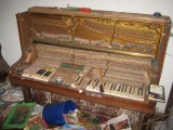 Thumbs/tn_IMG_6619.jpg