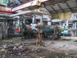 Thumbs/tn_IMG_8098.jpg