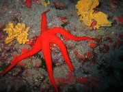 Thumbs/tn_IMG_2199.jpg