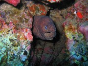 Thumbs/tn_IMG_4237.jpg