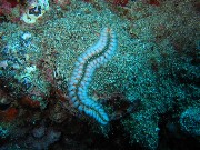 Thumbs/tn_IMG_4309.jpg
