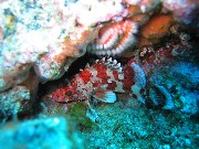 Thumbs/tn_IMG_4310.jpg