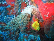 Thumbs/tn_IMG_4345.jpg