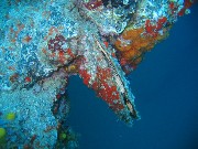 Thumbs/tn_IMG_4355.jpg