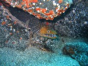 Thumbs/tn_IMG_8349.jpg
